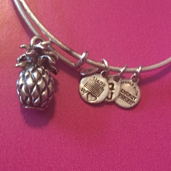 Alex and Ani Charm Bangles - Picture 3 of 4